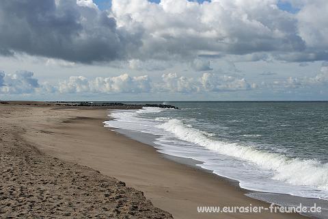 (Foto Goslar)_daenemark_2010_IMG_0406_Bovbjerg_Strand.jpg - ... im Sden duster ausschaute, waren die Wellen um einiges hher ...